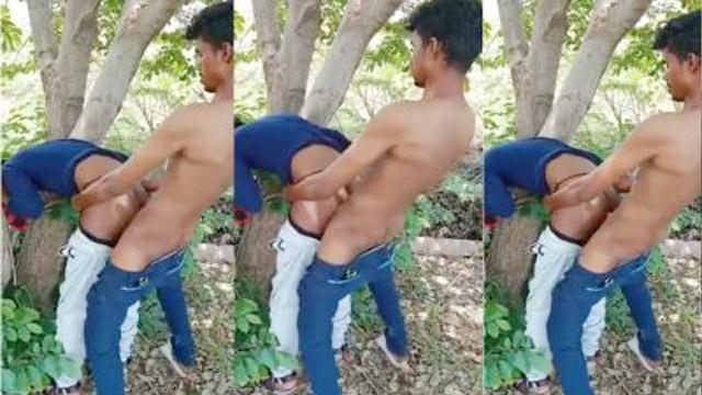 Cousin Sister Tree Sex – School Bunk Video